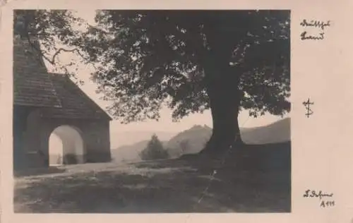 Alter Baum und Tor - 1931