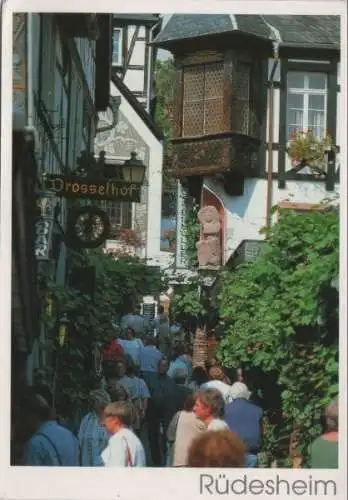 Rüdesheim am Rhein - Drosselgasse