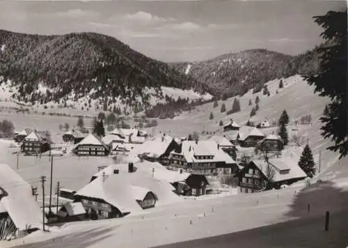 St. Blasien-Menzenschwand - Blick zum Hochkopf - 1974