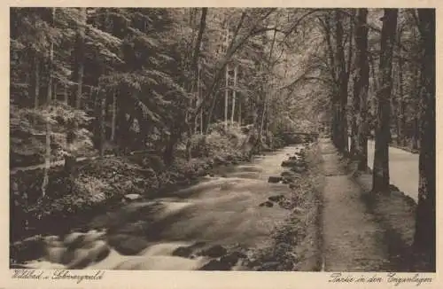 Bad Wildbad im Schwarzwald - Enzanlagen