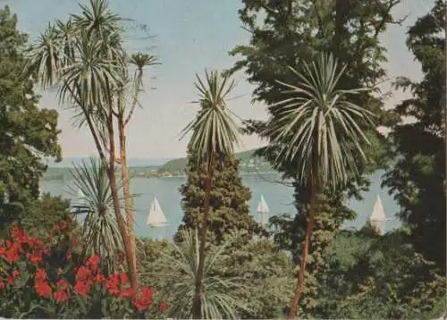 Mainau im Bodensee - 1960