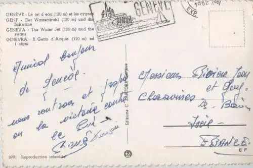 Schweiz - Genf / Genève - Schweiz - Wasserstrahl