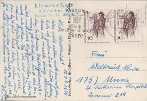 Straußglockenblume 1970