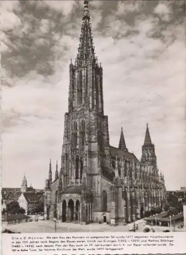 Ulm - Münster