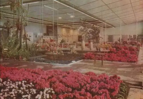 Erfurt - Internationale Gartenbauausstellung - 1961