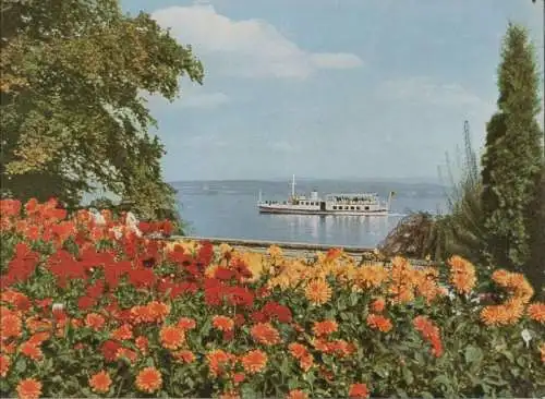 Mainau - Dahlien im Ufergarten