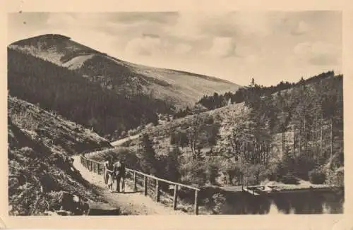 Oberhof - Blick zum Spitziger Berg