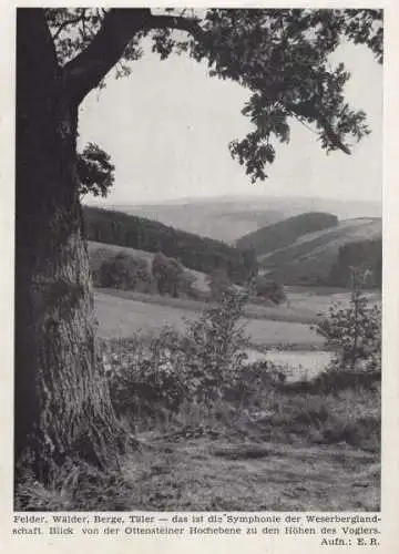 Wesergebirge - Berge, Wälder