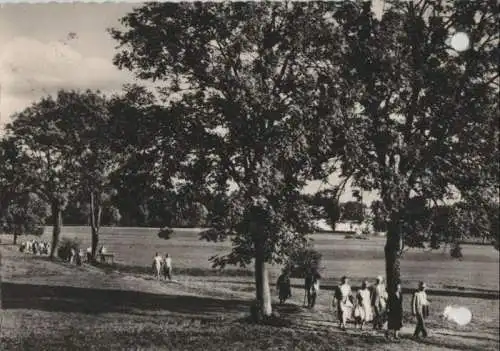 Bad Wörishofen - Weg zum Tannenbaum - 1962