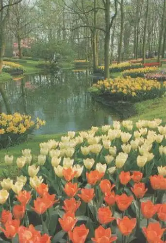 Niederlande - Niederlande - Keukenhof - Lisse-Holland - ca. 1975