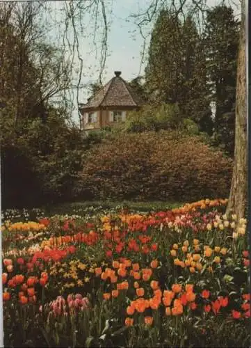 Mainau - Alter Wehrturm im Frühling - 1978