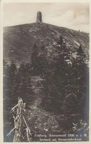 Feldberg (Berg im Schwarzwald) - mit Bismarckdenkmal