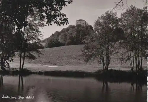 Bayerischer Wald - Suldenburg - ca. 1960