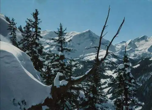 Schweiz - Gstaad - Schweiz - Wasserngrat