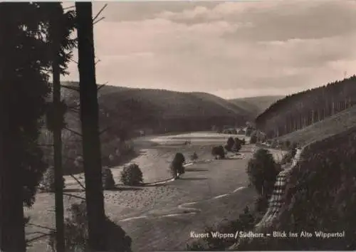 Wippra - Blick ins Alte Wippertal