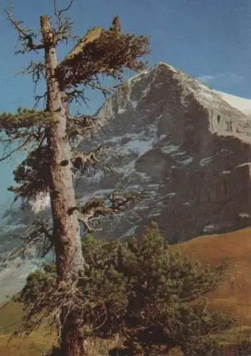 Schweiz - Schweiz - Eiger - Nordwand - ca. 1975