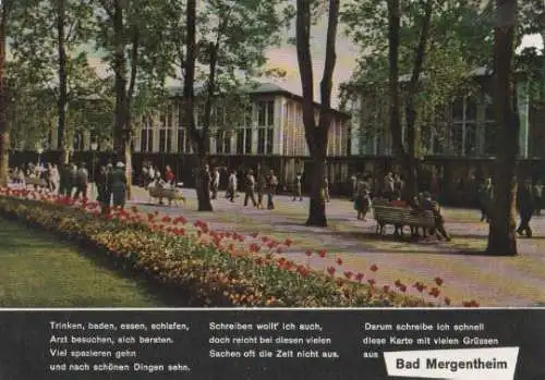 Bad Mergentheim - Kurpark - 1975