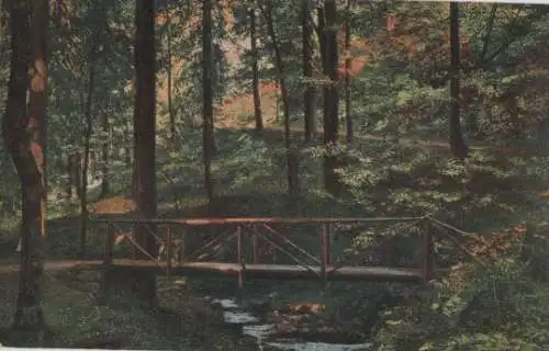 Braunlage - Wolfsbach-Schlucht bei dicken Tannen - ca. 1935