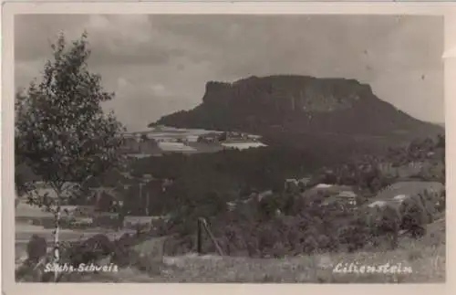 Sächsische Schweiz - Lilienstein - 1954