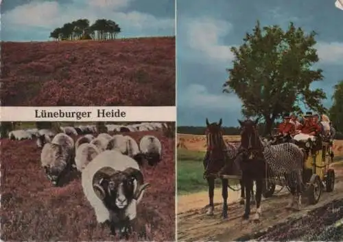 Lüneburger Heide - mit der Postkutsche - 1963