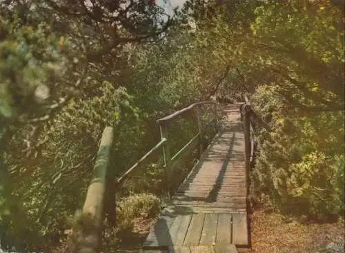 Georgenfelder Hochmoor - Holzsteg