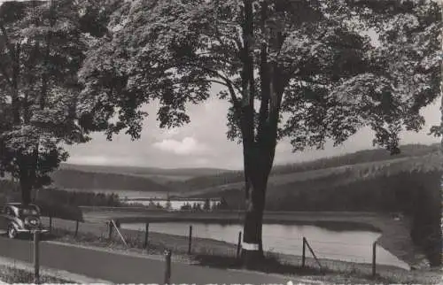 Harz - Hochharz, Teich beim Bocksberg und Auerhahn - 1966