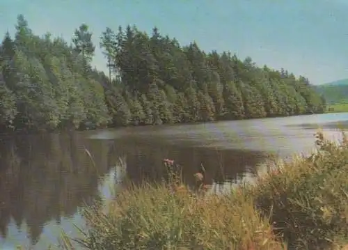 Naturbad Purzwinkel bei Tännesberg - ca. 1975