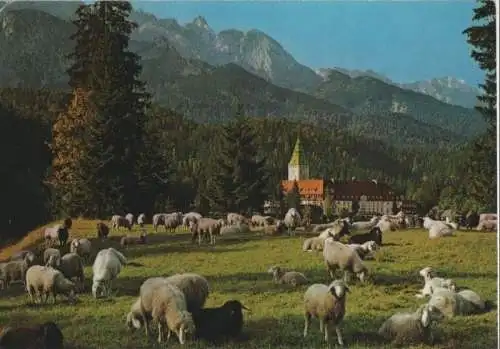 Klais, Schloss Elmau - Schafe