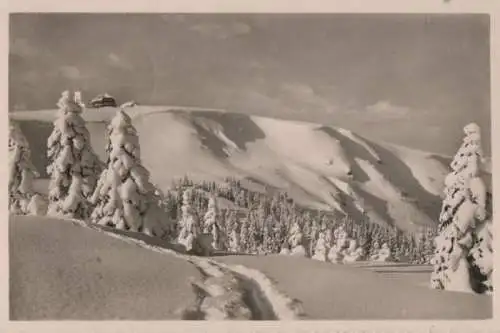 Feldberg / Schwarzwald - Blick auf Feldbergturm und Zastlerhalde - 1954