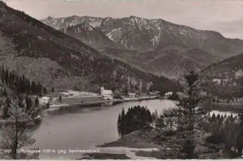 Spitzingsee - gegen Sonnwendjoch - 1958