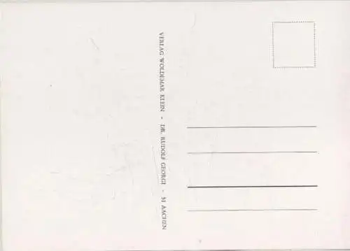 Rosa damascena Celsiana prolifera blühend