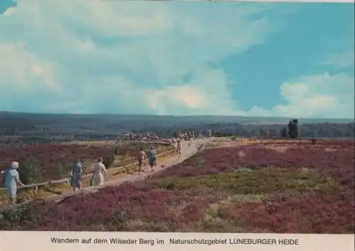 Lüneburger Heide - Wandern auf dem Wilseder Berg - ca. 1965