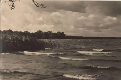 Arendsee (Altmark) - See