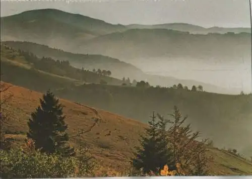 Schauinsland - Blick zum Belchen