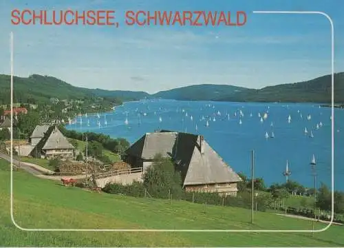 Schluchsee - Segler