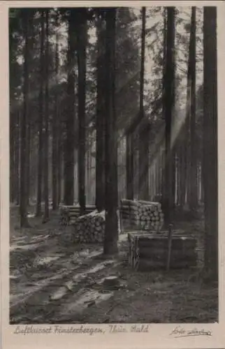 Finsterbergen - Morgensonne im Naturpark Hüllerodt - 1949