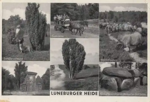 Lüneburger Heide - 6 Bilder