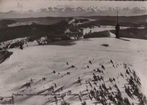 Feldberg / Schwarzwald - Seebuck und Schweizer Alpen - 1966