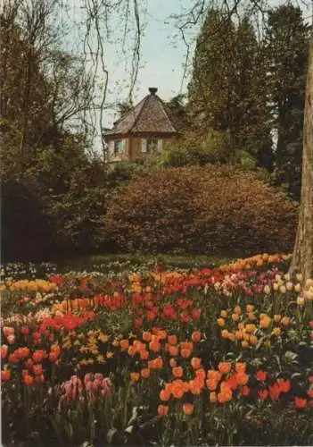 Mainau - Alter Wehrturm im Frühling - 1979