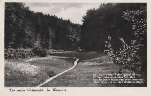 Westerwald - Im Wiesental - 1953