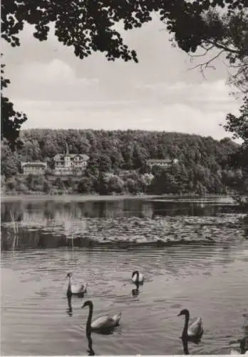 Buckautal - Griepensee