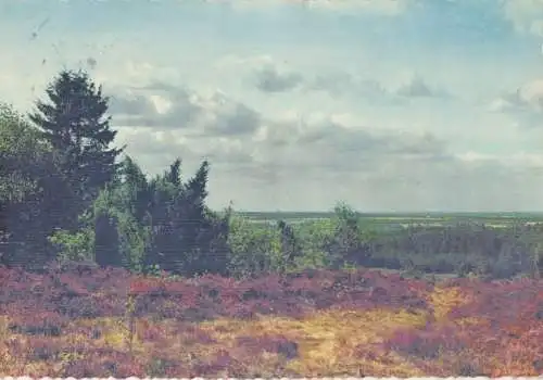 Heide - weites Land