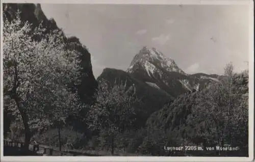 Österreich - Österreich - Lugauer - vom Moosland - ca. 1955