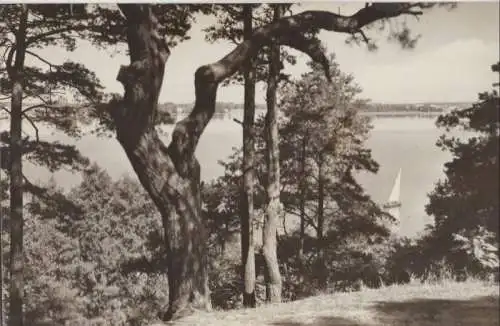 Schwielochsee-Goyatz - Kleiner Schwielochsee