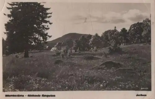 Blühende Bergwiese Haus im Hintergrund