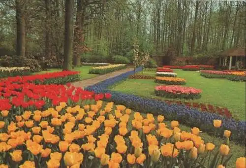 Niederlande - Niederlande - Lisse - Keukenhof - ca. 1985