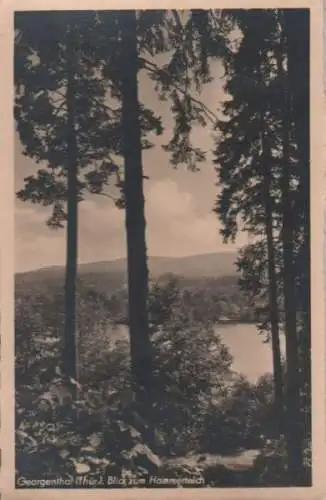 Georgenthal - Blick zum Hammerteich - ca. 1960