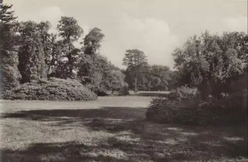 Bad Muskau - Im Kurpark