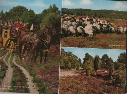 Lüneburger Heide - mit der Postkutsche - 1968