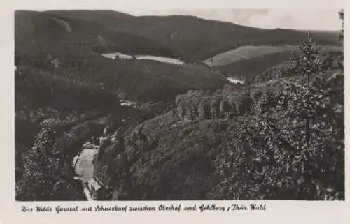 Geratal zwischen Oberhof und Gehlberg - ca. 1955